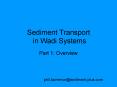 Sediment Transport in Wadi Systems PowerPoint PPT Presentation