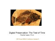 Digital Preservation: The Test of Time