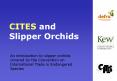 CITES and Slipper Orchids PowerPoint PPT Presentation