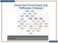 Gene Set Enrichment and Pathways Analysis PowerPoint PPT Presentation