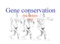 Gene conservation PowerPoint PPT Presentation