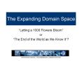 The Expanding Domain Space PowerPoint PPT Presentation
