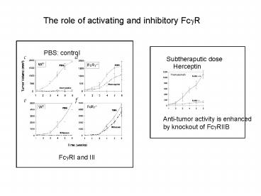 The role of activating and inhibitory FcR