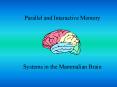 Parallel and Interactive Memory PowerPoint PPT Presentation