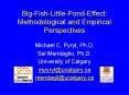 BigFishLittlePondEffect: Methodological and Empirical Perspectives PowerPoint PPT Presentation