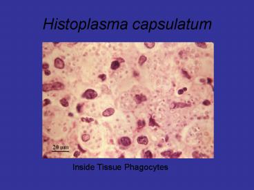 presentation player overlay