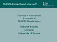 BL/CURL Storage Report: what next? PowerPoint PPT Presentation