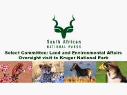 Select Committee: Land and Environmental Affairs