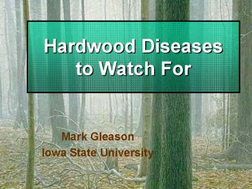 Hardwood Diseases to Watch For