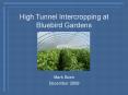 High Tunnel Intercropping at Bluebird Gardens PowerPoint PPT Presentation