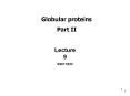 Globular proteins PowerPoint PPT Presentation