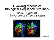 Evolving Models of Biological Sequence Similarity
