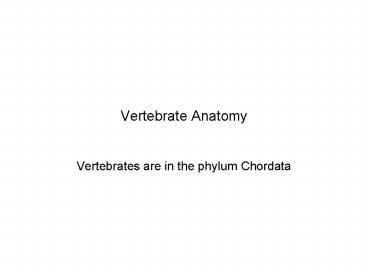 Vertebrate Anatomy
