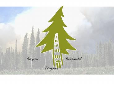 PPT – Evergreen PowerPoint presentation | free to view - id: 11cf32-MjZkN