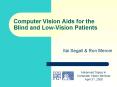 Computer Vision Aids for the Blind and LowVision Patients PowerPoint PPT Presentation