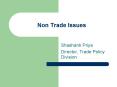 Non Trade Issues PowerPoint PPT Presentation