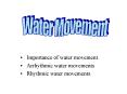 Importance of water movement PowerPoint PPT Presentation