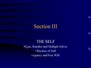 THE SELF
