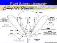 Plant Science Jeopardy