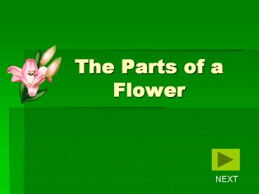 The Parts of a Flower