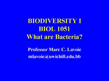 BIODIVERSITY I BIOL 1051 What are Bacteria