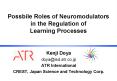 Possbile Roles of Neuromodulators in the Regulation of Learning Processes PowerPoint PPT Presentation