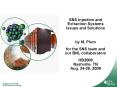 SNS Injection and Extraction Systems Issues and Solutions PowerPoint PPT Presentation
