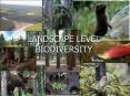 LANDSCAPE LEVEL BIODIVERSITY PowerPoint PPT Presentation