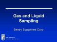 Sentry Equipment Corp PowerPoint PPT Presentation