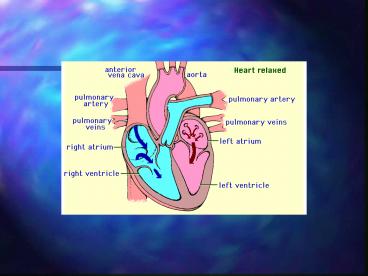 The Circulatory System