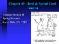 Chapter 45: Head PowerPoint PPT Presentation