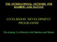 THE INTERNATIONAL NETWORK FOR BAMBOO AND RATTAN LIVELIHOOD DEVELOPMENT PROGRAMME Developing Liveliho PowerPoint PPT Presentation