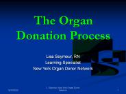 The Organ Donation Process