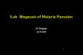 Lab Diagnosis of Malaria Parasites PowerPoint PPT Presentation