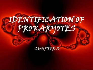 IDENTIFICATION OF PROKARYOTES