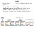 Lipids PowerPoint PPT Presentation