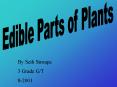 Edible Parts of Plants PowerPoint PPT Presentation