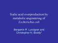 Sialic acid overproduction by metabolic engineering of Escherichia coli PowerPoint PPT Presentation