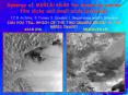 Synergy of MERIS/ASAR for observing marine film slicks and small scale processes PowerPoint PPT Presentation