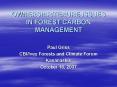 OWNERSHIPTENURE ISSUES IN FOREST CARBON MANAGEMENT PowerPoint PPT Presentation
