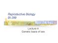 Reproductive Biology BI399 PowerPoint PPT Presentation