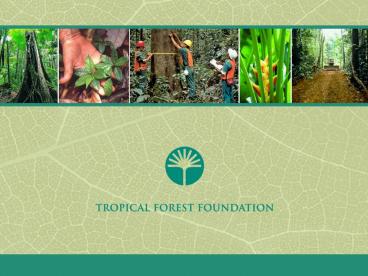 Tropical Forest Foundation, K. Evans