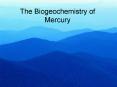 The Biogeochemistry of Mercury PowerPoint PPT Presentation