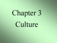 Culture PowerPoint PPT Presentation
