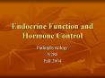 Endocrine Function and Hormone Control PowerPoint PPT Presentation