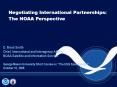 Negotiating International Partnerships: The NOAA Perspective PowerPoint PPT Presentation