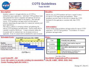 COTS Guidelines Task 04-001