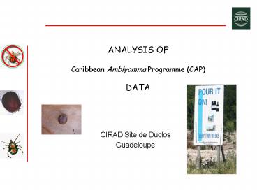 ANALYSIS OF Caribbean Amblyomma Programme CAP DATA