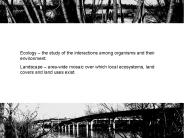 Ecology 