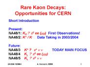 Rare Kaon Decays: Opportunities for CERN
